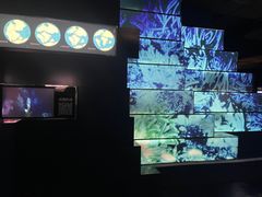 -同济大学四平路校区深海探索馆