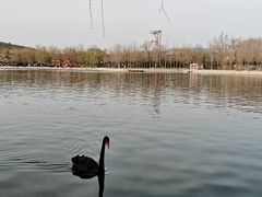-百泉景区