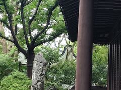 -上海醉白池公园
