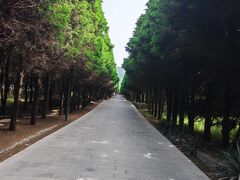 -秦始皇帝陵博物院-丽山园