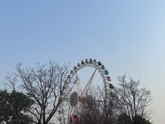 -合肥融创乐园
