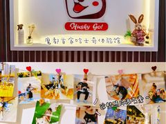-Husky Go! 哈士奇体验馆·宠物咖啡厅狗咖