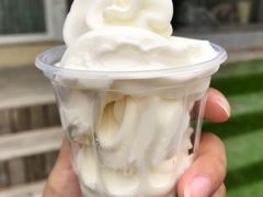 冰激凌杯-白色日记·手作酸奶(麦凯乐店)