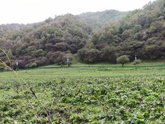 -大水川景区