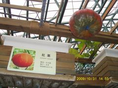 -东部华侨城