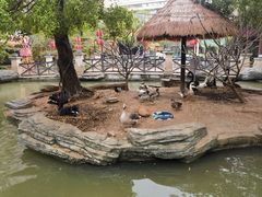 -灵玲国际马戏城