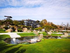 -罗红摄影艺术馆