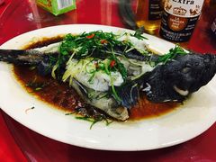 清蒸青斑鱼-鑫悦楼煎蟹·16年海鲜大排档