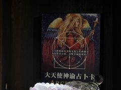 -雪灵魔法世界SHELLY’S TAROT(大良桂畔里店)