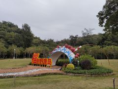 -野狸岛