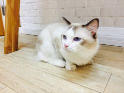 -匠之美甲美睫