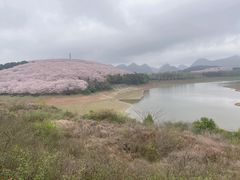 -天河潭旅游度假区