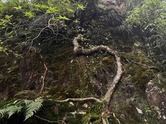 -西岭雪山大飞水景区