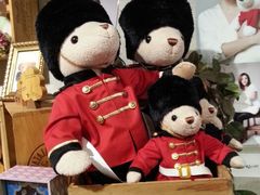 android_upload_pic-济州岛泰迪熊博物馆