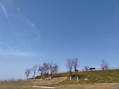 -汉长安城未央宫国家考古遗址公园