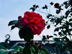 -杭州上天竺法喜讲寺