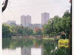 -晓港公园