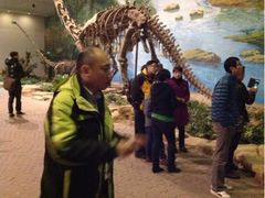 -自贡恐龙博物馆