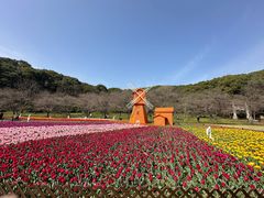 -苏州上方山国家森林公园