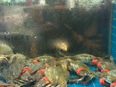 -码头鲜精致威海菜(欧乐坊店)