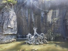 -西双版纳原始森林公园