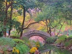 -商丘市人民公园