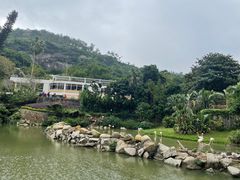 -石排湾郊野公园