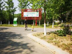 -东郊湿地公园