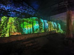 -海上花岛玫瑰园采摘
