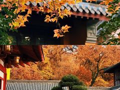 -灵谷景区