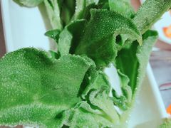 -海底捞火锅(长沙华创国际广场店)