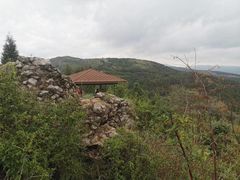 -长虫山生态公园风景林