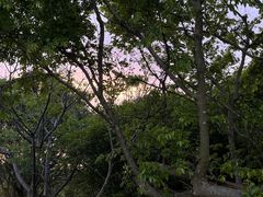 -宁波松兰山滨海旅游度假区