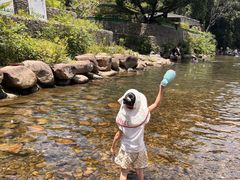 -北仑森林植物园