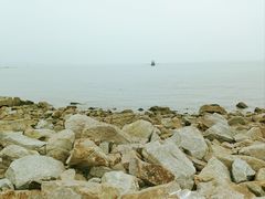 -野狸岛