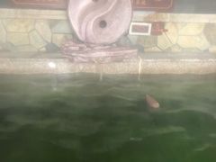 -宁波杭州湾海底温泉