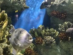 -福州罗源湾海洋世界旅游区