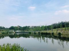 -东莞植物园