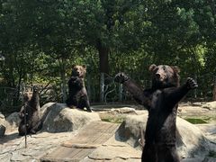 -常州淹城野生动物世界