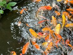 -上海大自然野生昆虫馆(东方明珠·爬宠昆虫探索中心)