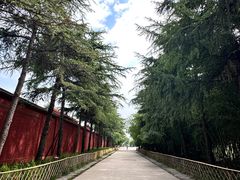 -洛阳白马寺