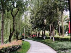 -成飞公园