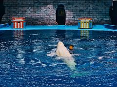 -鄂尔多斯野生动物园