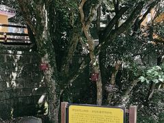 -普陀山慧济禅寺