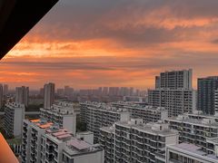 -芸山季·云南山珍菌火锅(南翔印象城MEGA店)