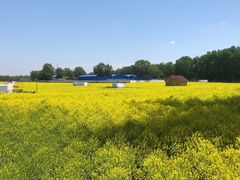 -天津武清北运河郊野公园房车露营地