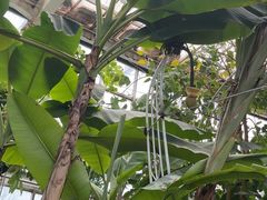 -石家庄市植物园