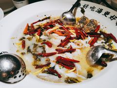 招牌老坛酸菜鱼-江渔儿酸菜鱼·拔草餐厅(虎门君乐汇店)