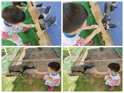 -萌宠亲子动物乐园(槐房万达店)