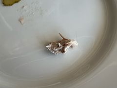 -三迪希尔顿酒店·星空酒廊